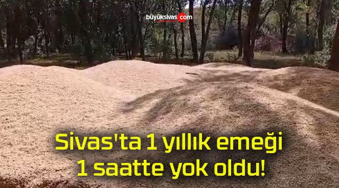 Sivas’ta 1 yıllık emeği 1 saatte yok oldu!