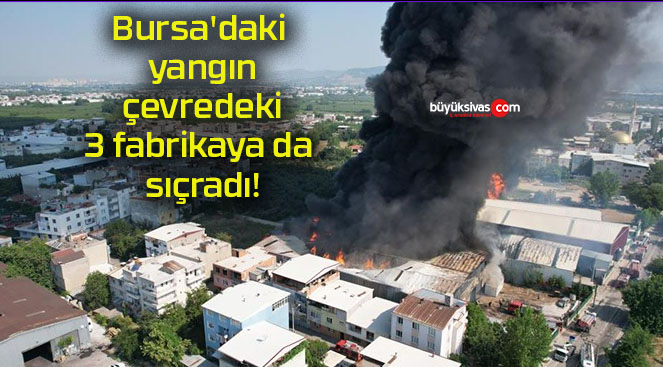 radısa