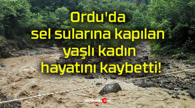 selsa