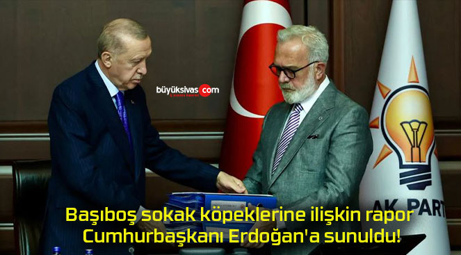 Başıboş sokak köpeklerine ilişkin rapor Cumhurbaşkanı Erdoğan’a sunuldu!