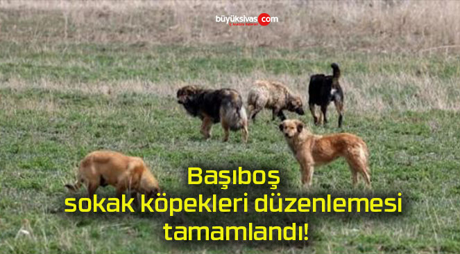 tamamla