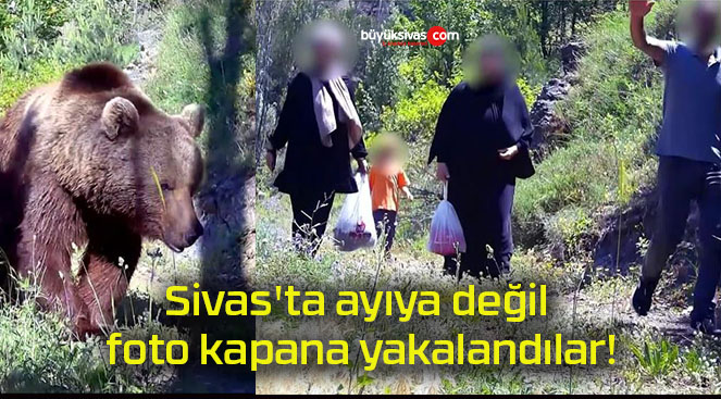 Sivas’ta ayıya değil foto kapana yakalandılar!