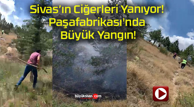 Sivas’ın Ciğerleri Yanıyor! Paşafabrikası’nda Büyük Yangın!