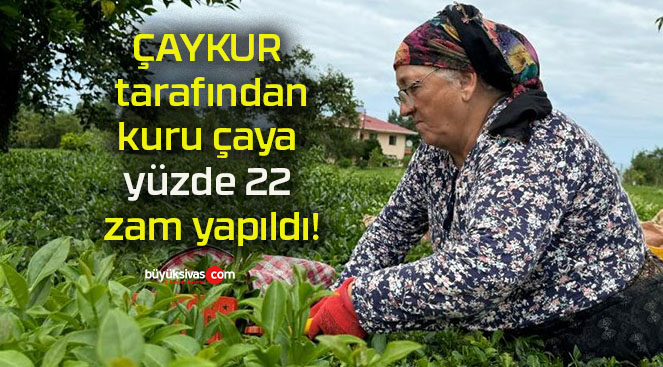 yüzdesa