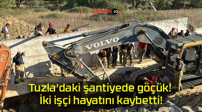 bettisa