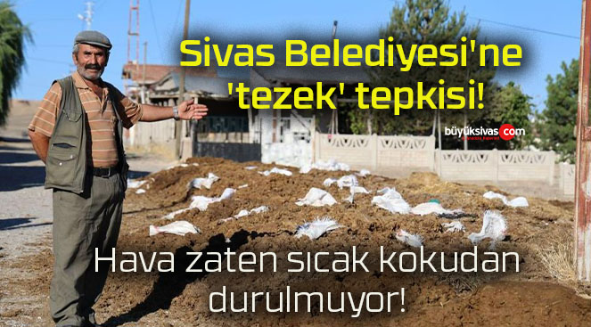 Sivas Belediyesi’ne ‘tezek’ tepkisi!