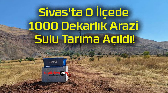 dekars