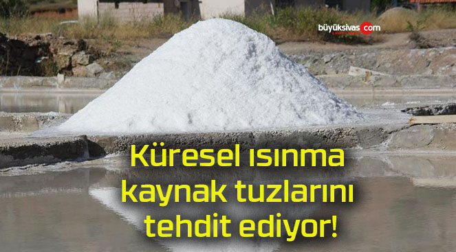 ditsa
