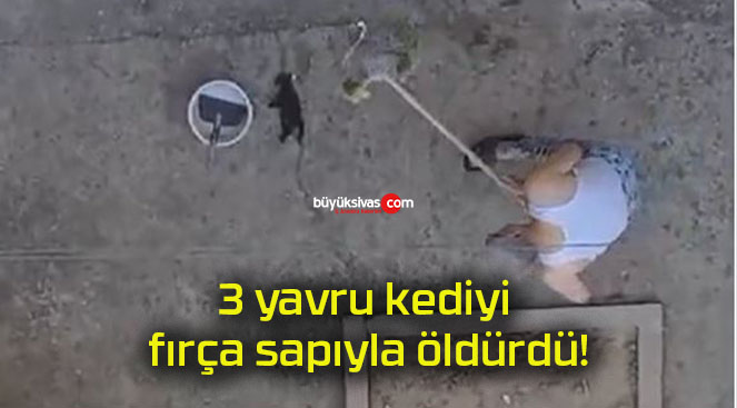 3 yavru kediyi fırça sapıyla öldürdü!