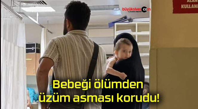 Bebeği ölümden üzüm asması korudu!