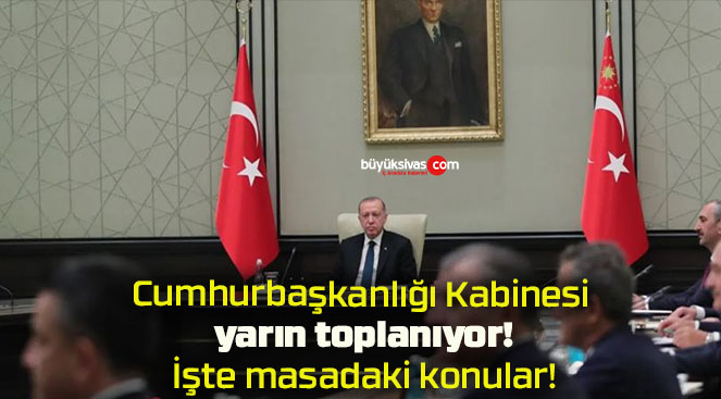 Cumhurbaşkanlığı Kabinesi yarın toplanıyor! İşte masadaki konular!