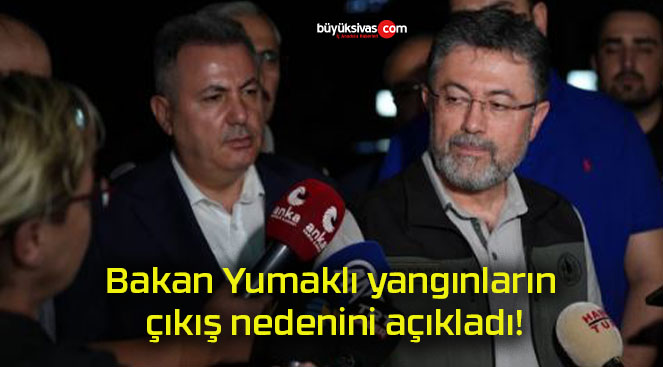 nedens
