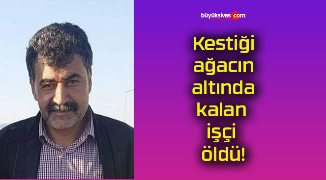 Kestiği ağacın altında kalan işçi öldü!