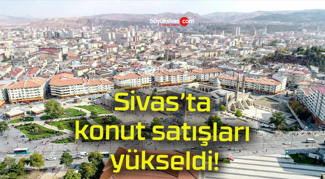 seldisa