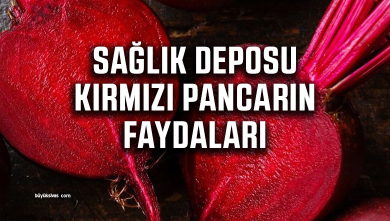 KIRMIZI PANCARIN FAYDALARI