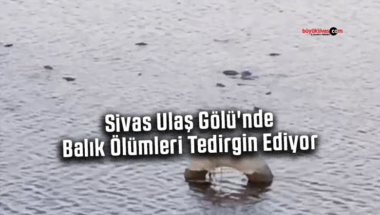 Sivas Ulaş Gölü’nde Balık Ölümleri Tedirgin Ediyor