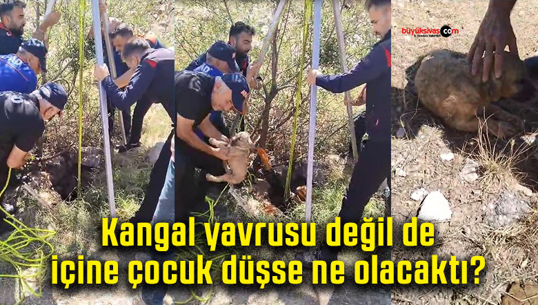 ççk