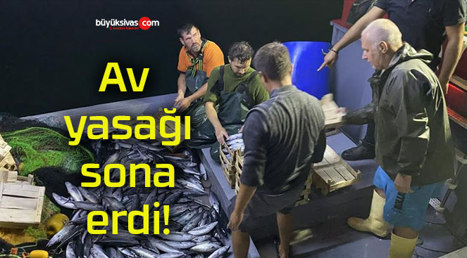 erdisa