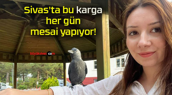 kargas