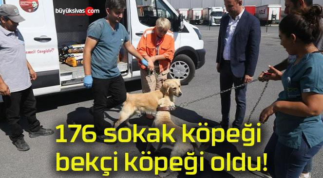 köpeğisa