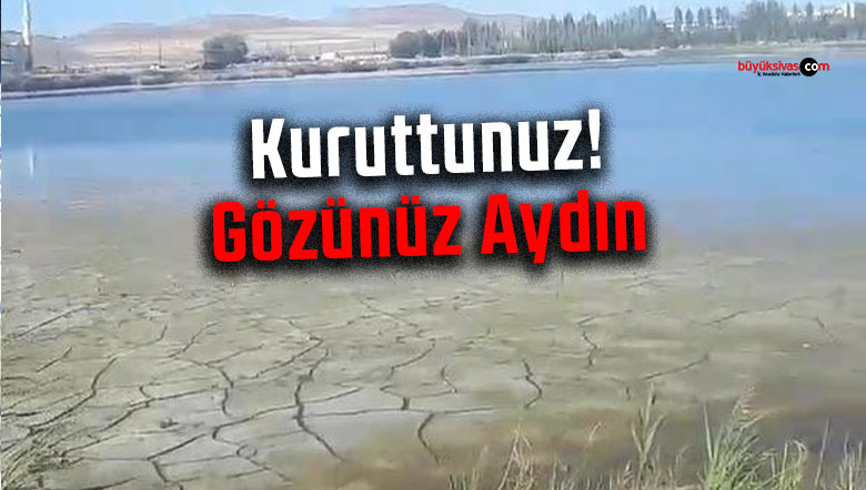 Ulaş Gölü Kuruyor, Balıklar Ölüyor! Acil Önlem Bekliyoruz