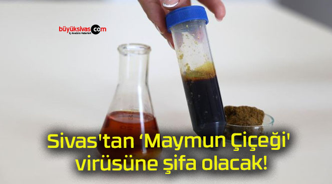 Sivas’tan ‘Maymun Çiçeği’ virüsüne şifa olacak!