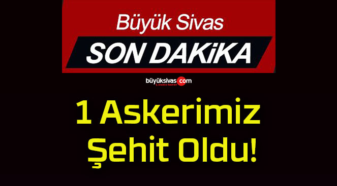 oludsa