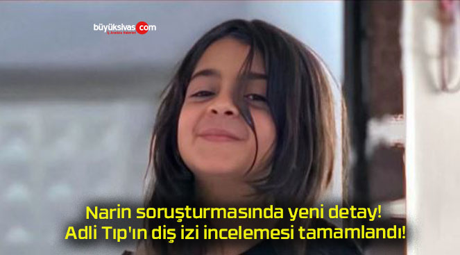 tamamland