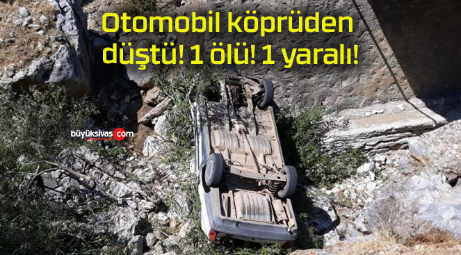 tomobilsa