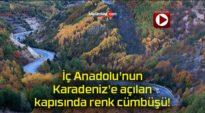 cümbüşü