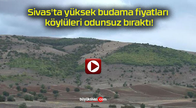 dunsa