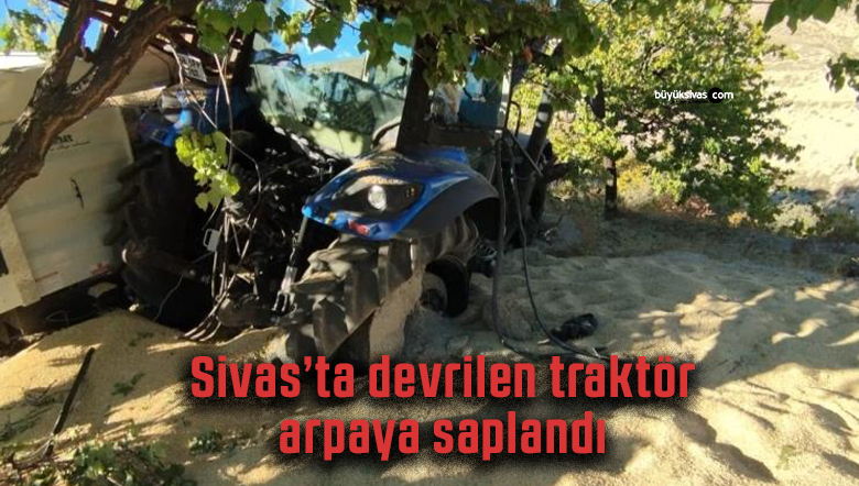 Sivas’ta arpa yüklü traktör devrildi, traktör arpaya gömüldü