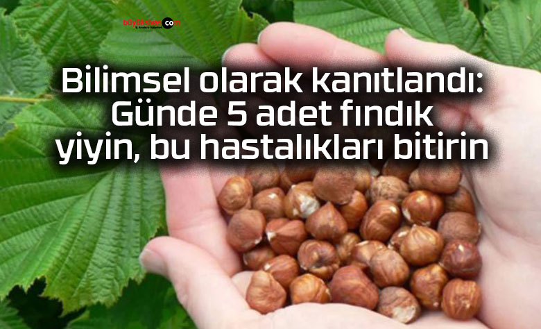 Bilimsel olarak kanıtlandı: Günde 5 adet fındık yiyin, bu hastalıkları bitirin