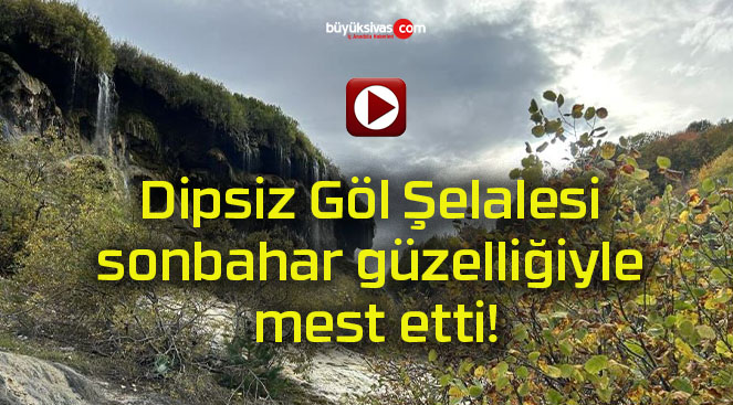 ğansa