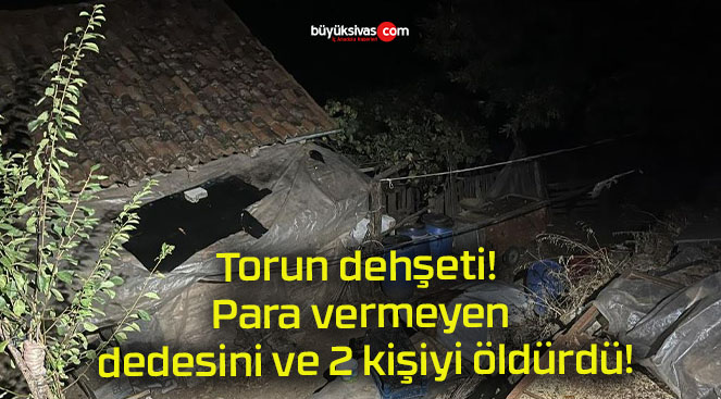 Torun dehşeti! Para vermeyen dedesini ve 2 kişiyi öldürdü!