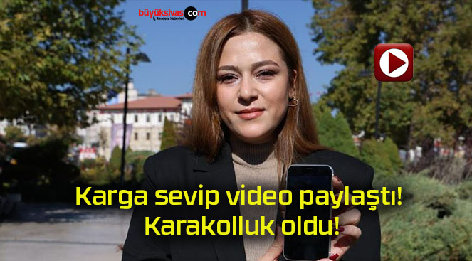 kolluksa