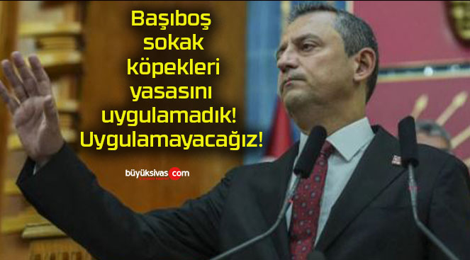 lamayacağız