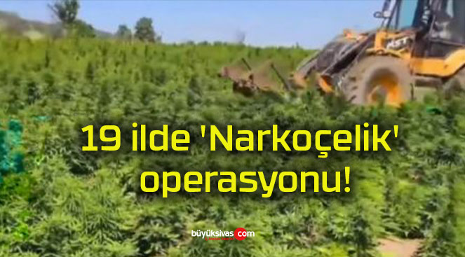 narkosa