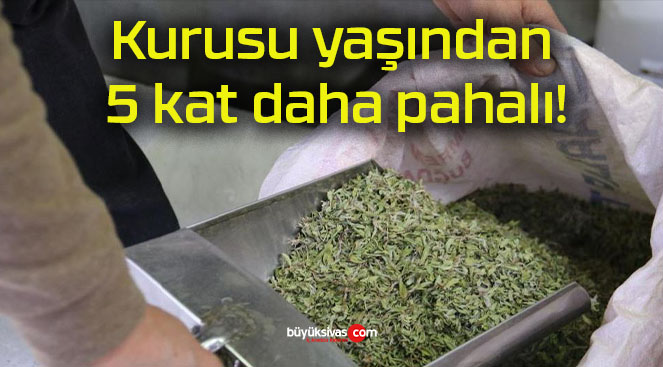 pahalı