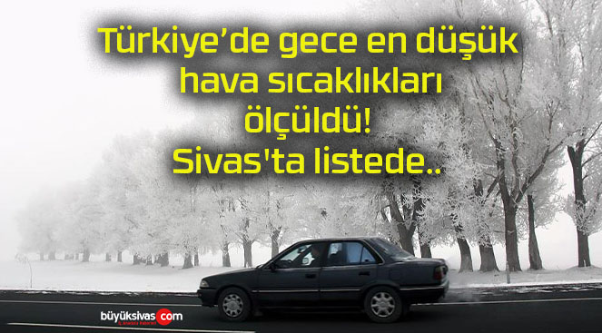 tedes