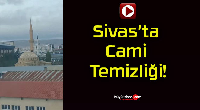 temiz