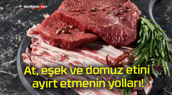 yırtas