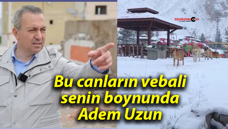 adem uzun