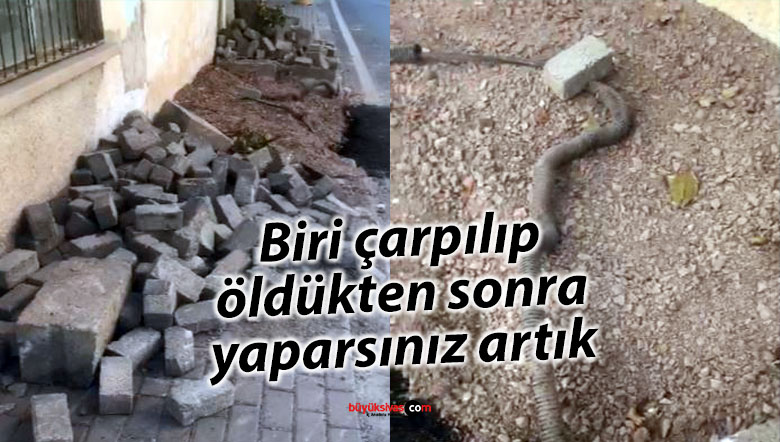 crp
