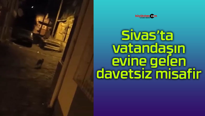 davetsşiz