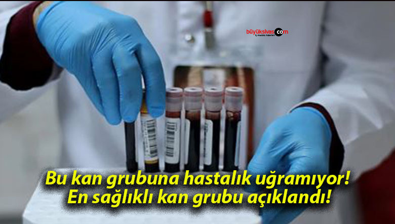 grubu
