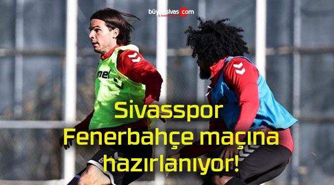 hazıt