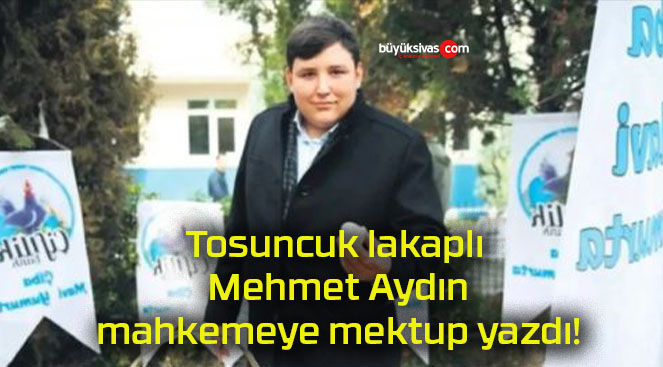 mektupsa