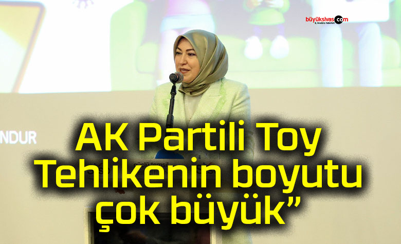 rukiye toy