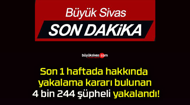 şüphelis